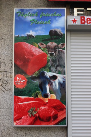 cows sonnenallee